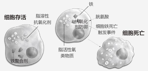 图片7