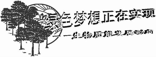 绿色梦想正在实现_生物质能发展动向_王乃粒