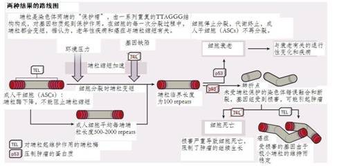 说明: C:\Documents and Settings\Administrator\桌面\复件 123.jpg