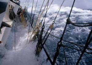 Faster winds are blowing up a storm in the Southern Ocean <i>(Image: Flip De Nooyer/Foto Natura/Corbis)</i>