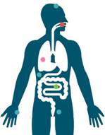 http://www.the-scientist.com/images/February2016/FebMycobiome1_310px.jpg