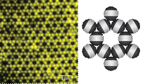 https://www.sciencenews.org/sites/default/files/2016/09/100116_feature_qian-chen_inline.png